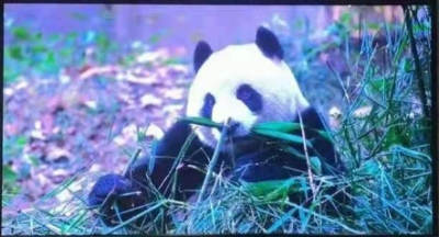 显示屏的控制系统主要有哪些类型？